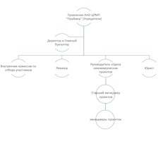 Структура АНО Праймер